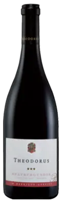 Spätburgunder (Pinot Noir) ”HAMMEREN” BIO <br>Ved 3 stk - 225,00 / stk Theodorus